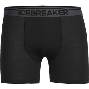 Icebreaker Anatomica Boxershorts Herren schwarz schwarz