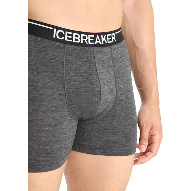 Icebreaker Anatomica Zwemboxers Heren, grijs