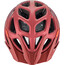 Alpina Mythos 3.0 L.E. Helmet indigo-cherry-drop