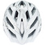 Alpina Panoma 2.0 Helmet white-silver leafs