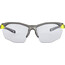 Alpina Twist Five HR VL+ Gafas, gris/amarillo