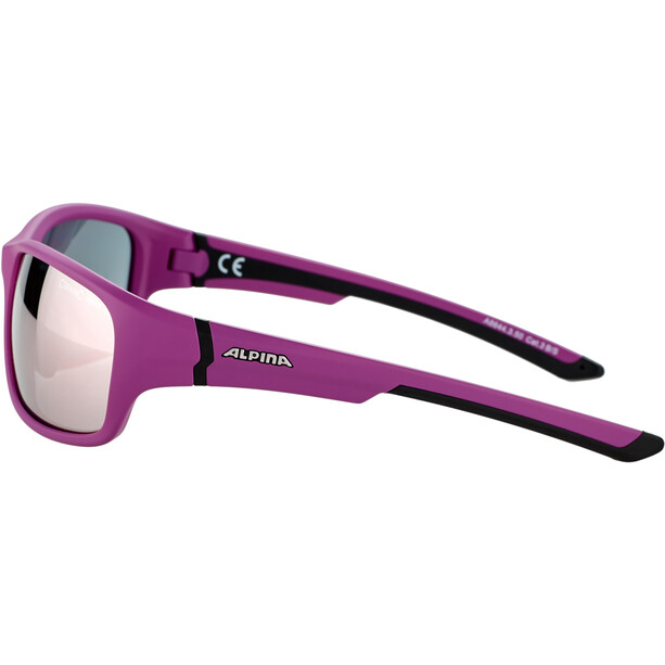 Alpina Lyron S Glasses purple matt-black/rose-gold mirror