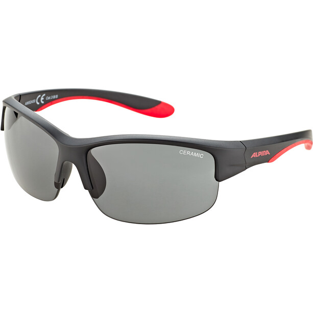 Alpina Flexxy HR Glasses Youth black matt-red/black