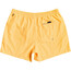 Quiksilver Everyday Volley 15 Shorts Herren orange