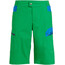 VAUDE Altissimo III Spodnie krótkie Mężczyźni, zielony