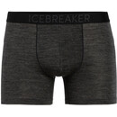 Icebreaker Anatomica Cool-Lite Boxershorts Herren grau