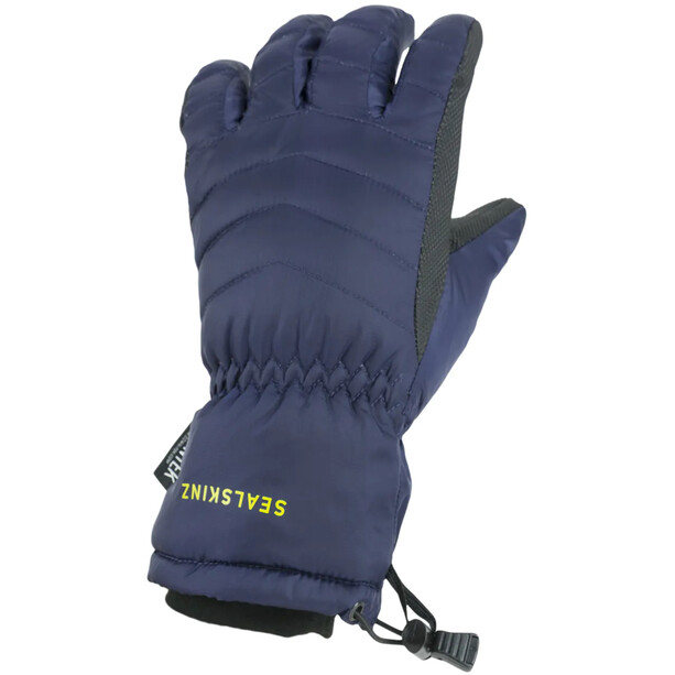 Sealskinz Waterproof Ext Cold Weather Donzen Handschoenen, blauw