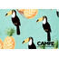 CAMPZ Microfibre Beach Towel 90x200cm tucan