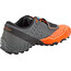 Dynafit Feline SL GTX Schuhe Herren grau/orange