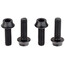 Wolf Tooth Bolts for Bottle Cage black
