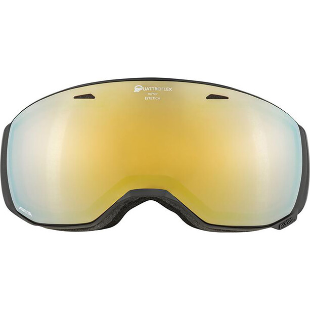Alpina Estetica QMM Goggles grau/gold