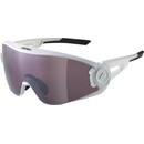 Alpina 5W1NG Q+CM Okulary, biały/szary