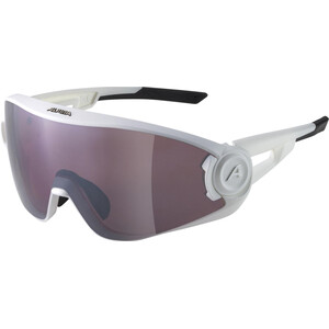 Alpina 5W1NG Q+CM Brille weiß/grau weiß/grau