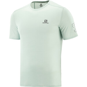 Salomon XA Trail Kurzarm T-Shirt Herren grün