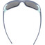 Julbo Monterosa 2 Spectron 3CF Sunglasses Women grey/green