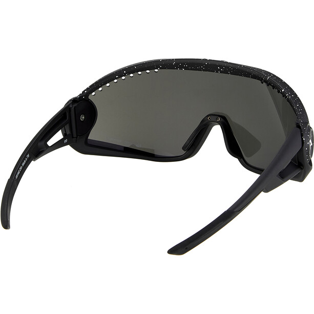 Alpina 5W1NG CM+ Gafas, negro
