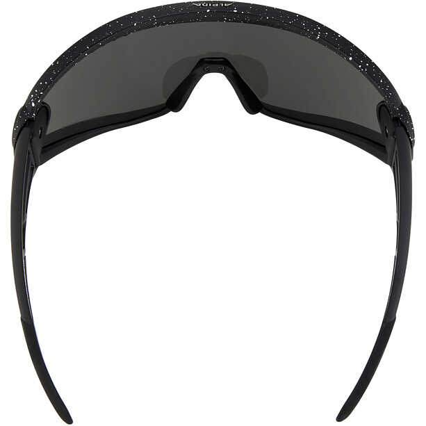 Alpina 5W1NG CM+ Brille schwarz