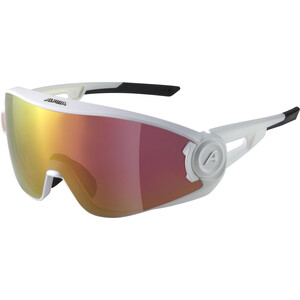 Alpina 5W1NG Q+VM Okulary, biały biały