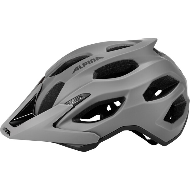 Alpina Carapax 2.0 Helm grau