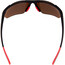 Alpina Defey HR Okulary, czarny/czerwony