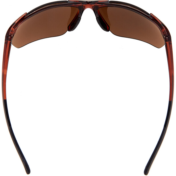 Alpina Defey HR Gafas, marrón
