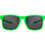 Alpina Flexxy Cool Kids I Glasses Kids neon green/blue/black mirror