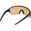 Alpina Ram HR Q-Lite V Okulary, czarny