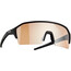 Alpina Ram HR Q-Lite V Glasses black matt/silver mirror
