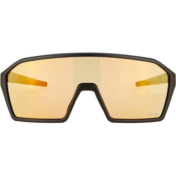 Alpina Ram Q-Lite V Okulary, czarny