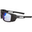 Alpina Skywalsh VLM+ Glasses black matt/blue mirror