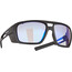 Alpina Skywalsh VLM+ Brille schwarz