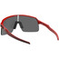 Oakley Sutro Lite Sonnenbrille Herren rot/grau