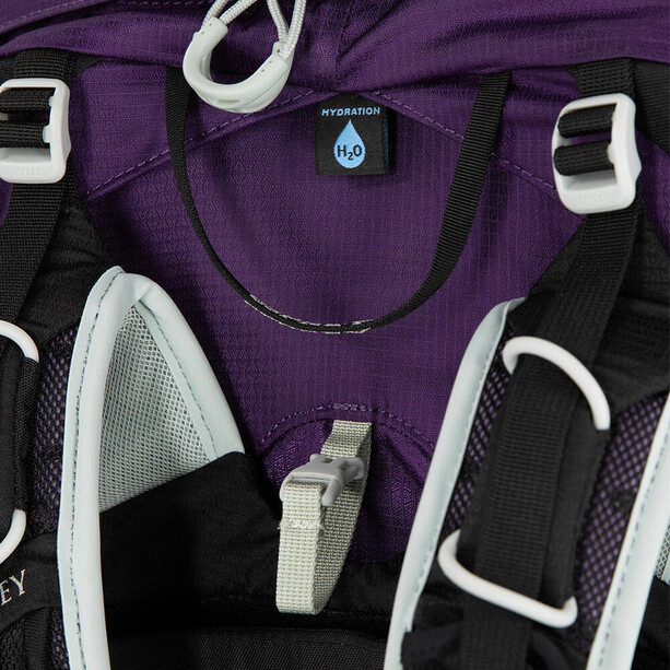 Osprey Tempest 20 Backpack Women violac purple