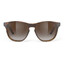 Rudy Project Soundshield Brille braun