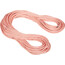 Mammut 9.9 Gym Workhorse Classic Rope 40m candy