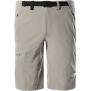 The North Face Speedlight Short Homme, gris