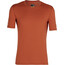 Icebreaker 200 Oasis Crew Top T-shirt Heren, rood