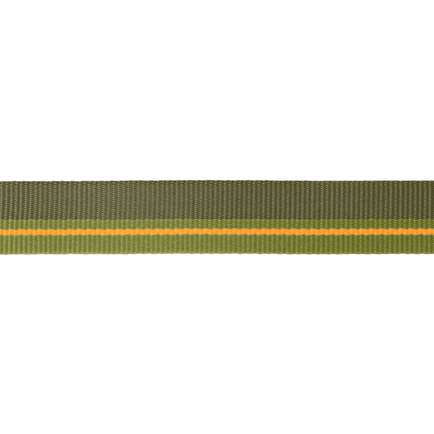 Ruffwear Flat Out Leiband, groen