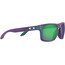 Oakley Holbrook Lunettes de soleil Homme, violet/vert