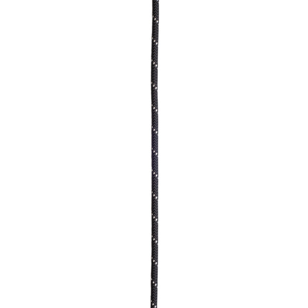 Edelrid Performance Static Seil 9,0mm x 100m schwarz