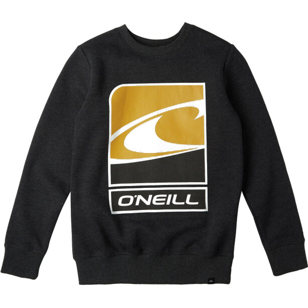 O'Neill Flag Wave Crew Sweatshirt Boys, gris