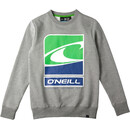 O'Neill Flag Wave Rundhals Sweatshirt Jungen grau