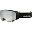 Alpina Double Jack MAG QLITE Schutzbrille schwarz