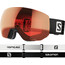 Salomon Radium Pro Sigma Schutzbrille schwarz