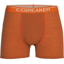 Icebreaker Anatomica Zwemboxers Heren, rood/violet