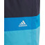 adidas Colorblock Shorts Jungen blau/türkis