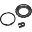 Zipp 101 XPLR Rear Wheel 28" Disc CL Tubeless Hookless 10/11-speed SRAM/Shimano black