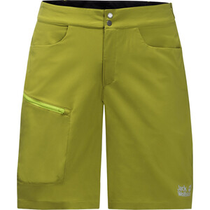 Jack Wolfskin Tourer Shorts Heren, groen groen