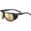 UVEX Sportstyle 312 Lunettes, noir/Or