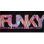Funky Trunks Micro Mate, czarny/kolorowy